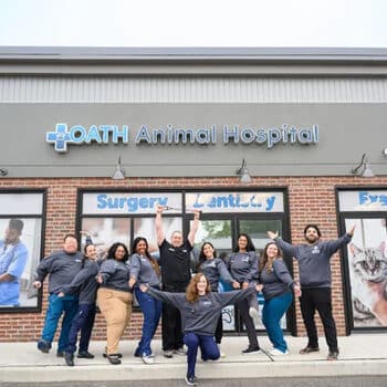 Oath-animal-hospital-team-bl - Town Hall Guide